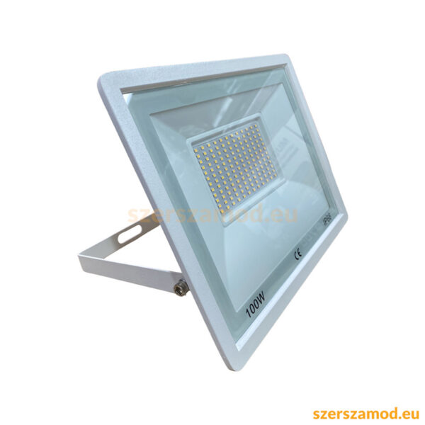 LED reflektor 100W 220V